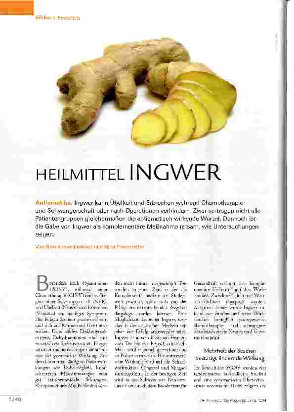 Vorschauseite 1: HEILMITTEL INGWER