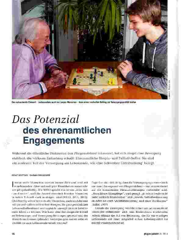 Vorschauseite 1: Das Potenzial des ehrenamtlichen Engagements