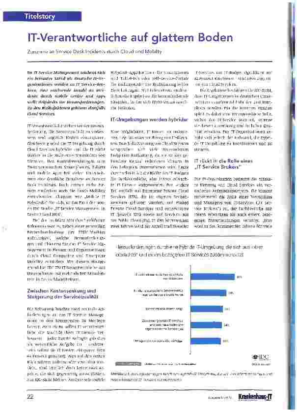 Vorschauseite 1: IT-Verantwortliche auf glattem Boden