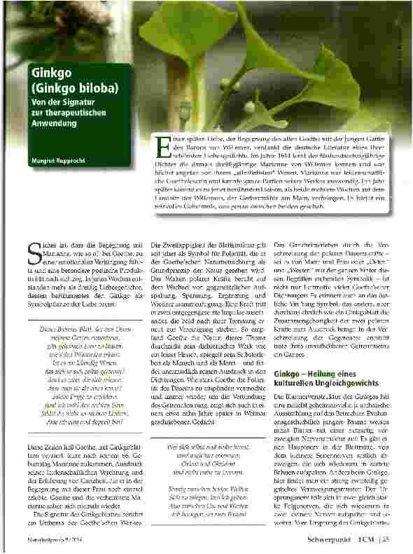 Vorschauseite 1: Ginkgo (Ginkgo biloba)