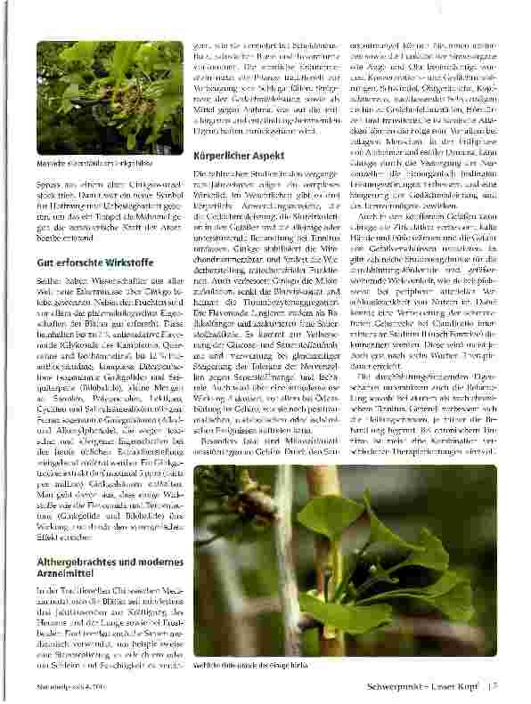 Vorschauseite 2: Ginkgo Biloba