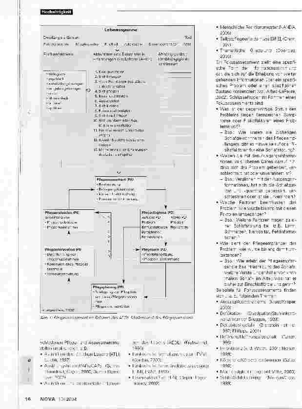 Vorschauseite 2: Pflegeassessment in der Langzeitpflege