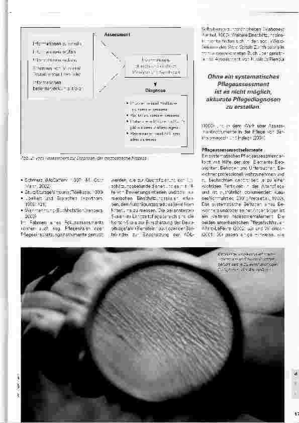 Vorschauseite 3: Pflegeassessment in der Langzeitpflege