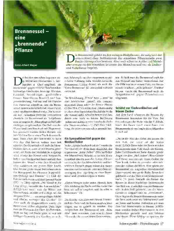 Vorschauseite 1: Brennnessel -eine „brennende Pflanze