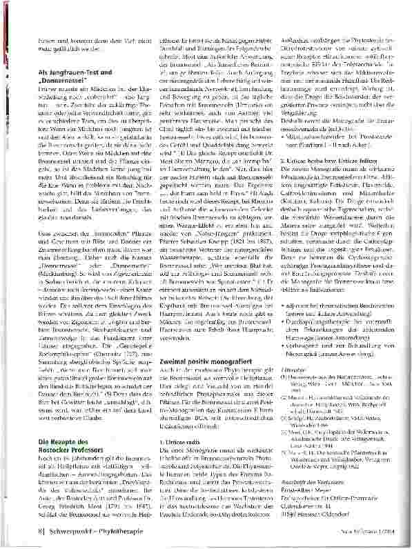 Vorschauseite 2: Brennnessel -eine „brennende Pflanze