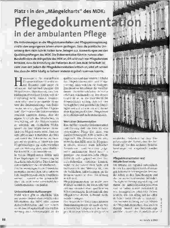 Vorschauseite 1: Pflegedokumentation in der ambulanten PflegePlatz 1 in den Mängelcharts des MDK: