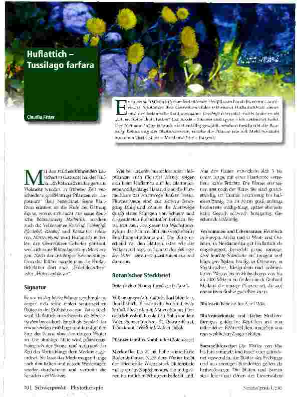 Vorschauseite 1: Huflattich -Tussilago farfara