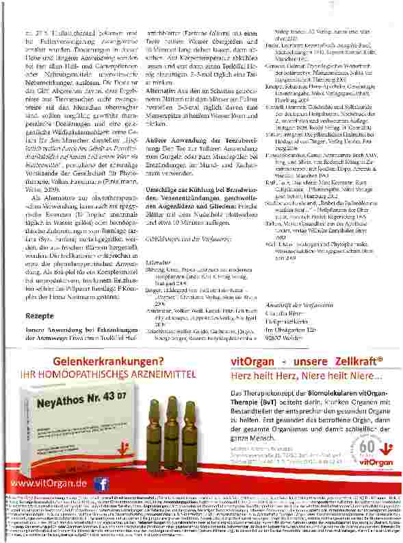 Vorschauseite 4: Huflattich -Tussilago farfara