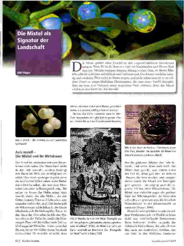 Vorschauseite 1: Die Mistel als Signatur der Landschaft