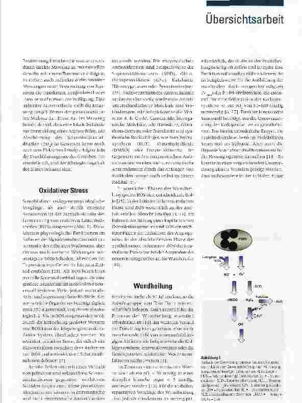 Vorschauseite 2: Sauerstoff in der Therapie des Ulcus cruris
