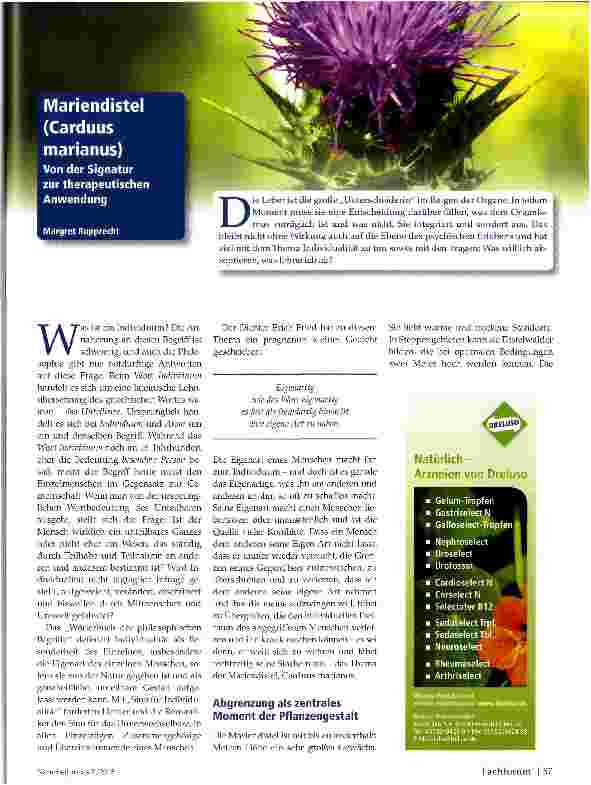 Vorschauseite 1: Mariendistel