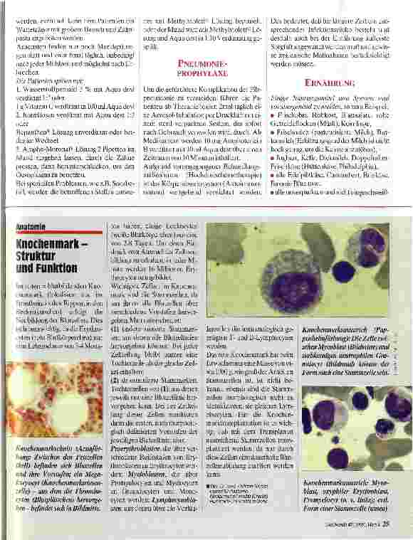 Vorschauseite 2: Stammzelltransplantation Aspekte der Pflege bei Transplantation