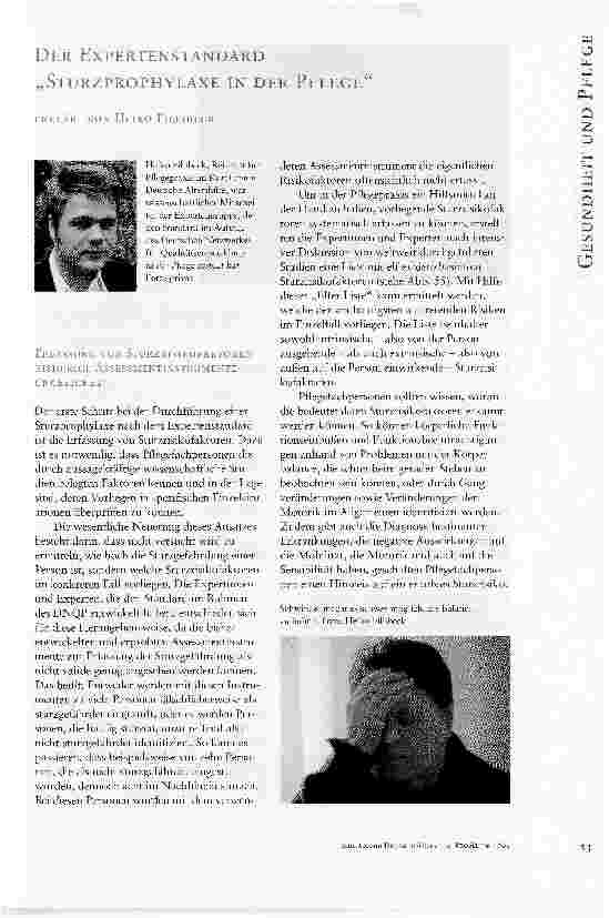 Vorschauseite 1: DER EXPERTENSTANDARD STURZPROPHYLAXE IN DER PFLEGE