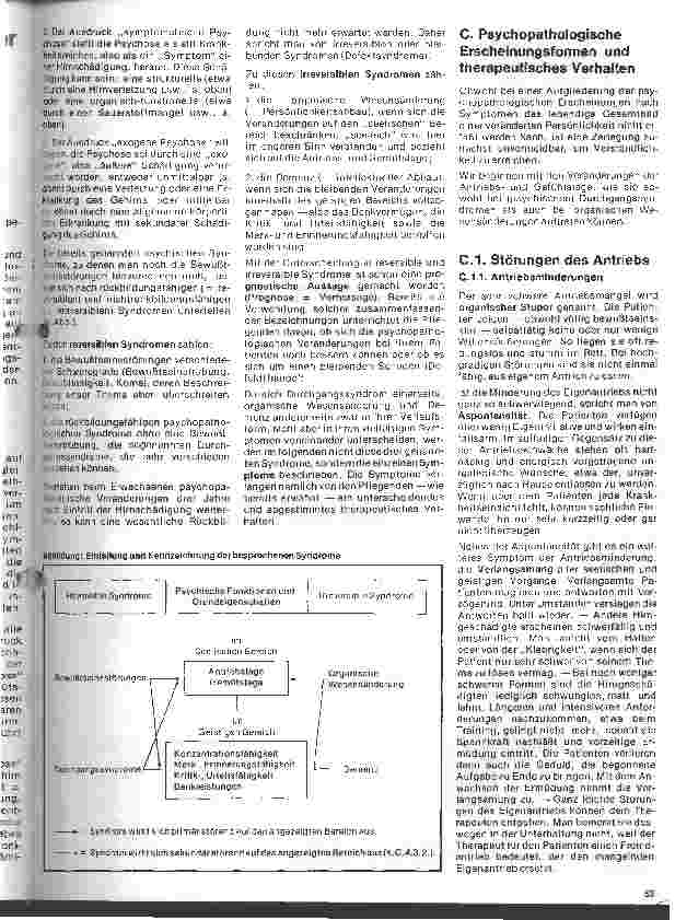 Vorschauseite 2: Informationen für Krankenschwestern und Krankenpfleger über Patienten mit Hirnschäden im Erwachsenenalter/1. Teil