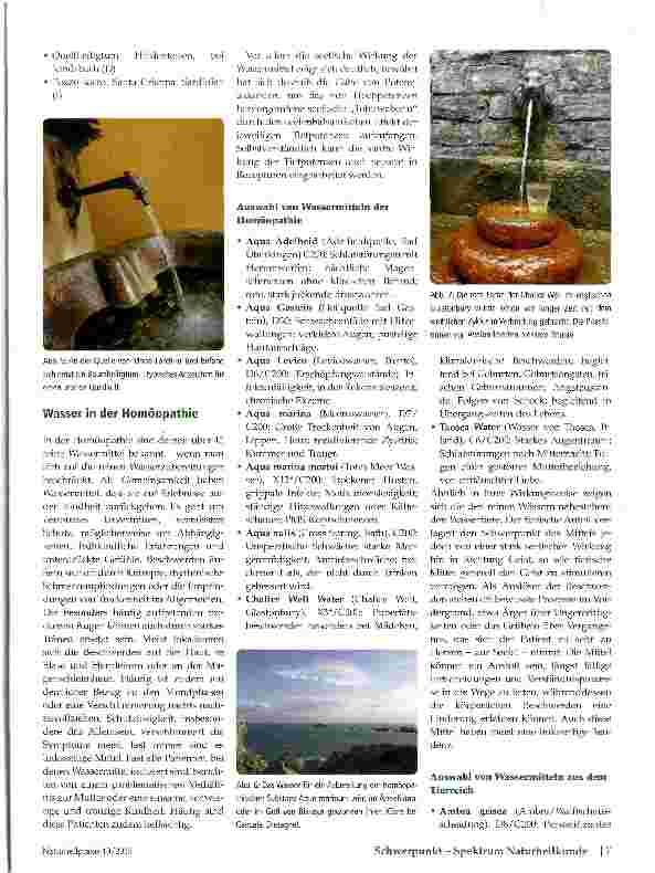 Vorschauseite 4: Lebenselixier Wasser
