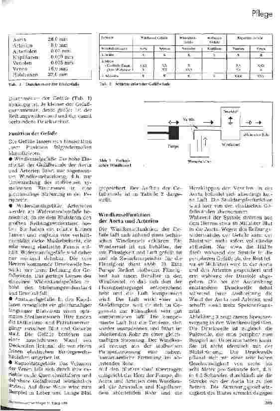 Vorschauseite 2: Blutdruck und Windkesselfunktion der Aorta