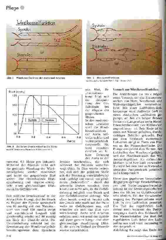 Vorschauseite 3: Blutdruck und Windkesselfunktion der Aorta
