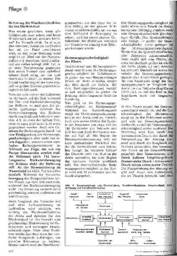 Vorschauseite 5: Blutdruck und Windkesselfunktion der Aorta