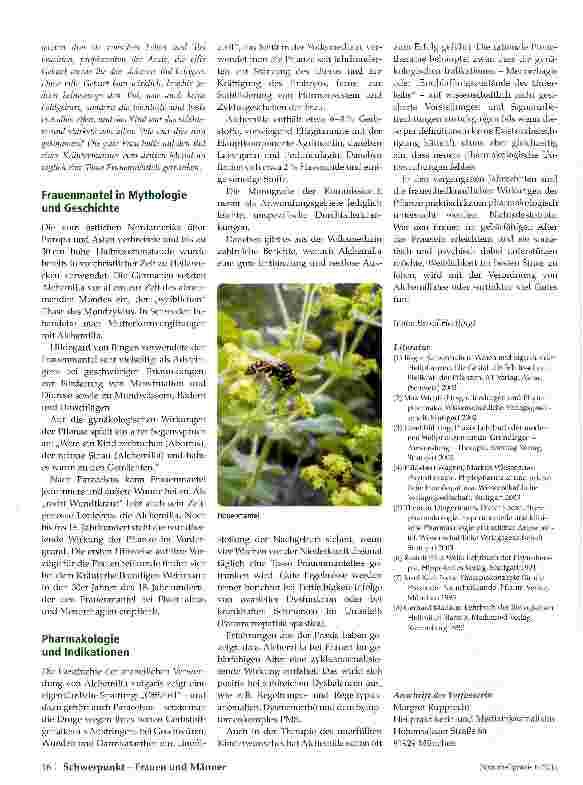 Vorschauseite 2: Frauenmantel