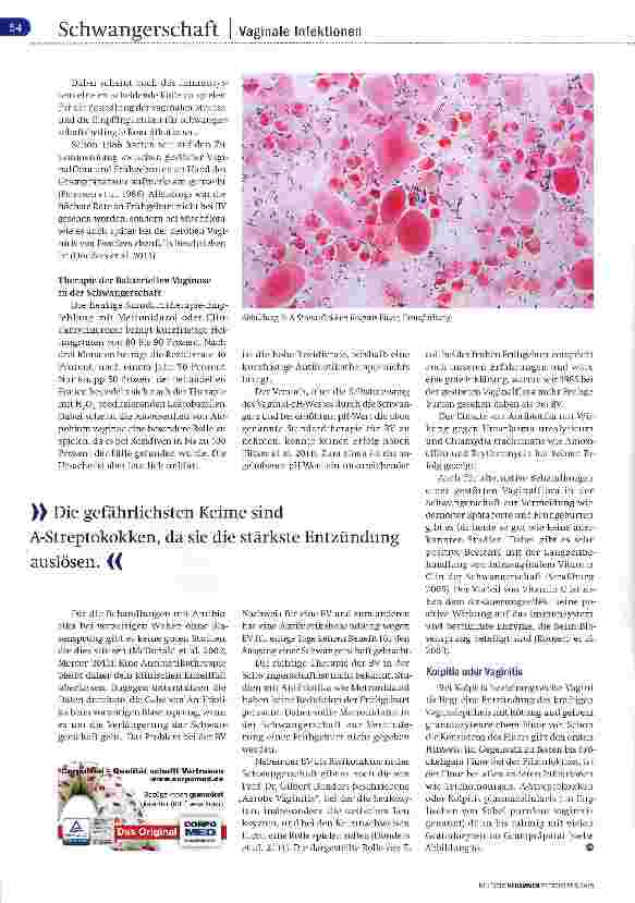 Vorschauseite 4: Die Schlüsselrolle der Vaginalflora