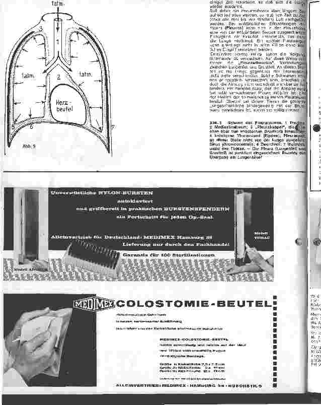 Vorschauseite 3: Tiefere Atemwege, Luftröhre, Lunge und Pleurahöhle