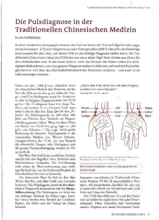 Vorschauseite 1: Die Pulsdiagnose in der Traditionellen Chinesischen Medizin