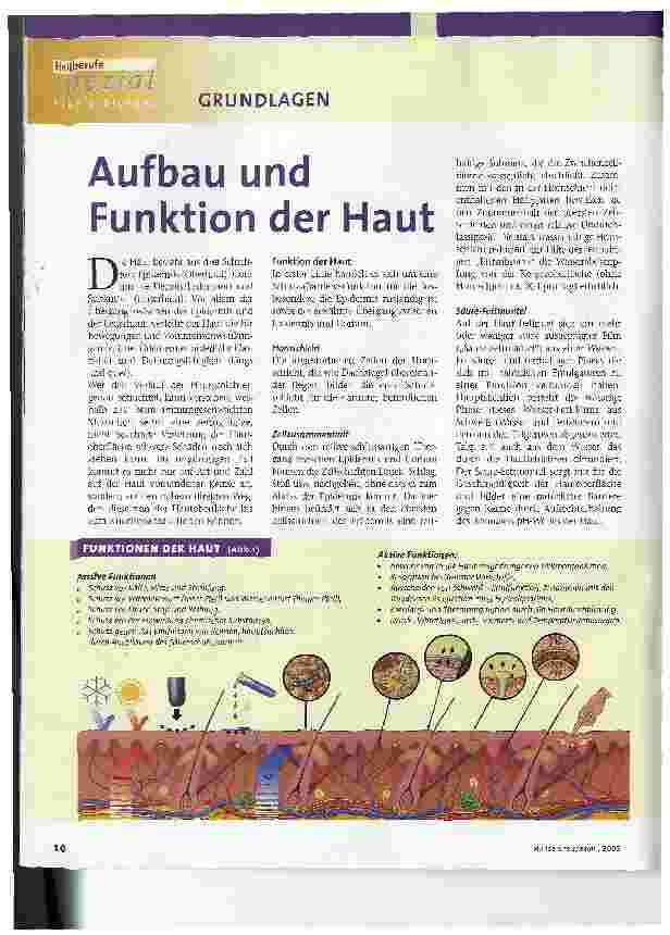 Vorschauseite 1: Aufbau und Funktion der Haut