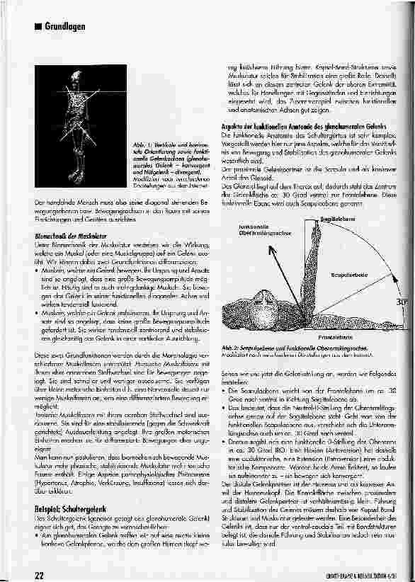 Vorschauseite 2: Praxisrelevanz von anatomischen und funktionellen Bewegungsachsen
