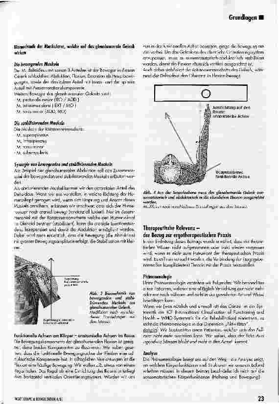 Vorschauseite 3: Praxisrelevanz von anatomischen und funktionellen Bewegungsachsen