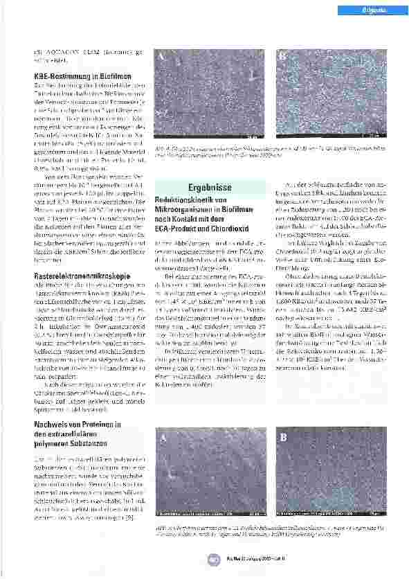 Vorschauseite 4: Elektrochemische Aktivierung als potentielles Verfahren zur Vermeidung und Elimination von Biofilmen in Trinkwasserführenden Systemen
