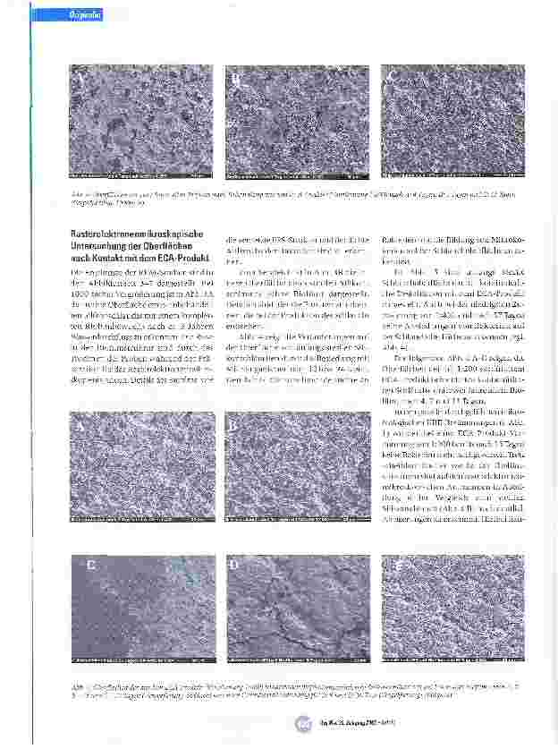 Vorschauseite 5: Elektrochemische Aktivierung als potentielles Verfahren zur Vermeidung und Elimination von Biofilmen in Trinkwasserführenden Systemen