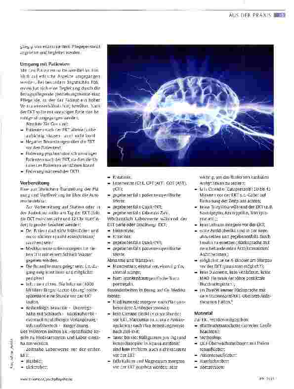 Vorschauseite 3: Pflegestandard Elektrokrampftherapie