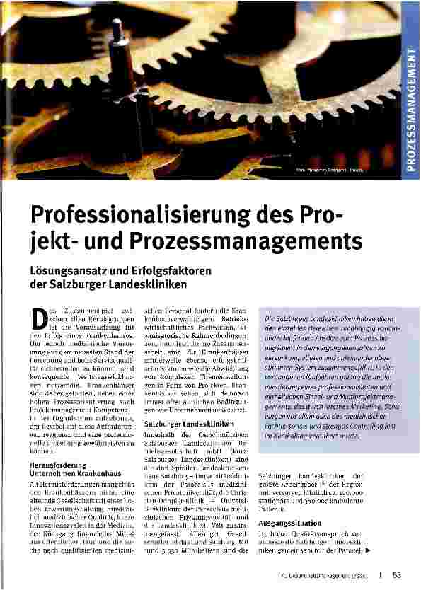 Vorschauseite 1: Professionalisierung des Projektund Prozessmanagements