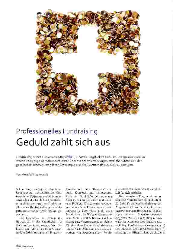 Vorschauseite 1: Professionelles Fundraising Geduld zahlt sich aus