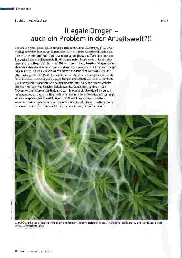 Vorschauseite 1: Illegale Drogen -auch ein Problem in der Arbeitswelt?!!