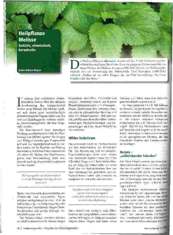 Vorschauseite 1: Heilpflanze Melisse