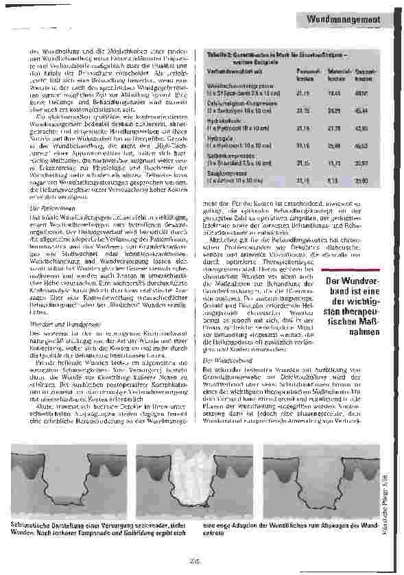 Vorschauseite 3: Was kostet eine Dekubitusbehandlung? Kostenanalyse in der Wundversorgung