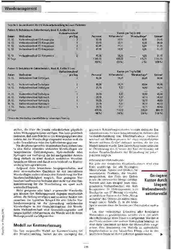 Vorschauseite 4: Was kostet eine Dekubitusbehandlung? Kostenanalyse in der Wundversorgung
