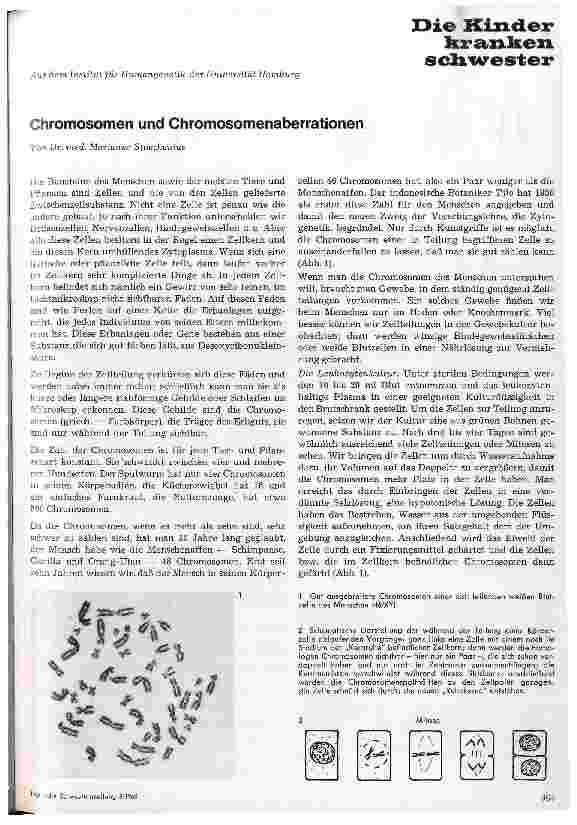 Vorschauseite 1: Chromosomen und Chromosomenaberrationen