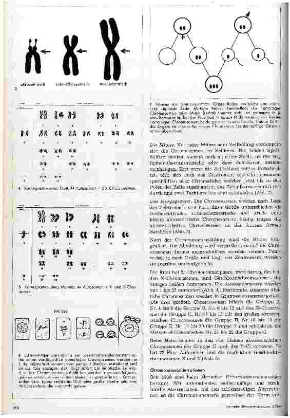 Vorschauseite 2: Chromosomen und Chromosomenaberrationen