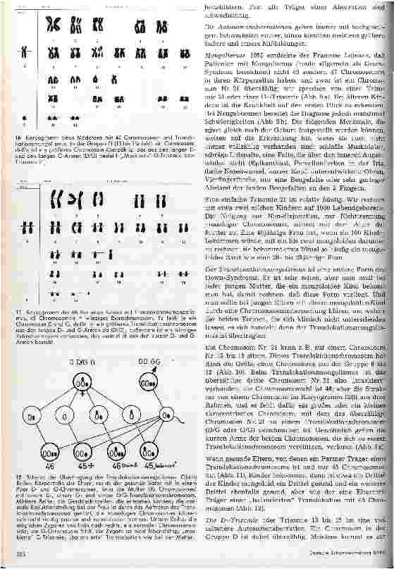 Vorschauseite 4: Chromosomen und Chromosomenaberrationen