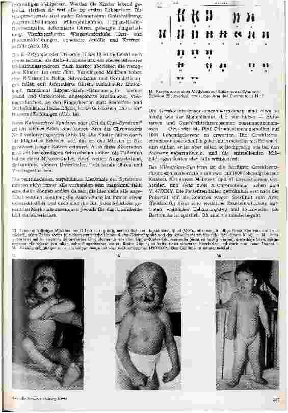 Vorschauseite 5: Chromosomen und Chromosomenaberrationen