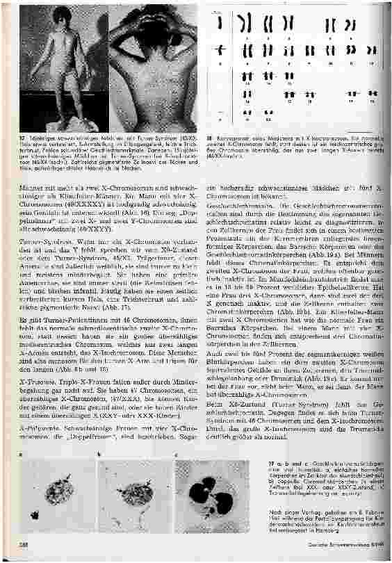 Vorschauseite 6: Chromosomen und Chromosomenaberrationen
