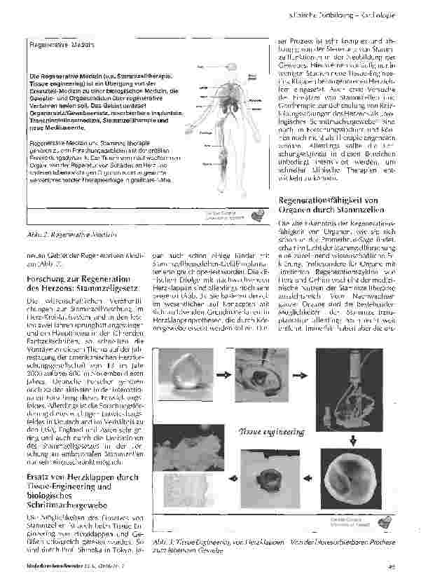Vorschauseite 3: Nachwachsendes Herz - Hoffnung für Kinder mit angeborenen Herzfehlern?Kardiale Stammzelltherapie und Tissue Engineering im Fokus von Forschung und Klinik
