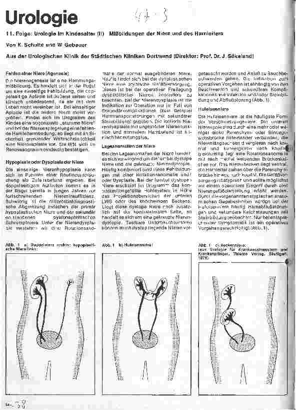 Vorschauseite 1: Urologie 11. Folge: Urologie im Kindesalter (II) Mißbildungen der Niere