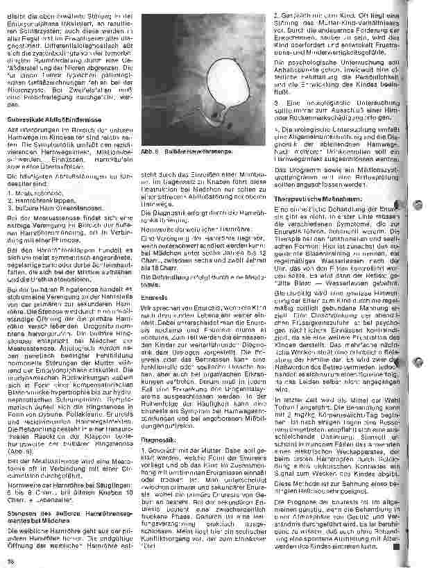 Vorschauseite 5: Urologie 11. Folge: Urologie im Kindesalter (II) Mißbildungen der Niere