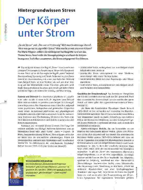 Vorschauseite 1: Der Körper unter StromHintergrundwissen Stress