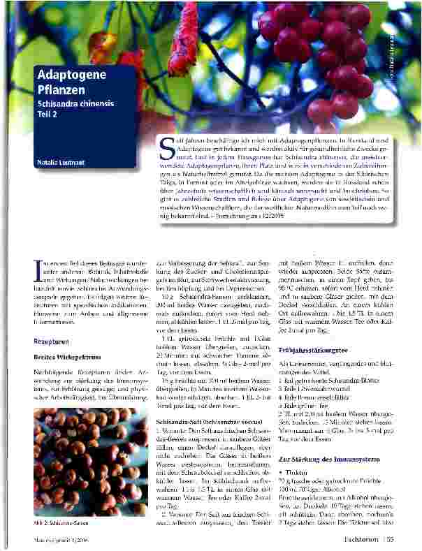 Vorschauseite 1: Adaptogene Pflanzen Schisandra chinensis Teil 2