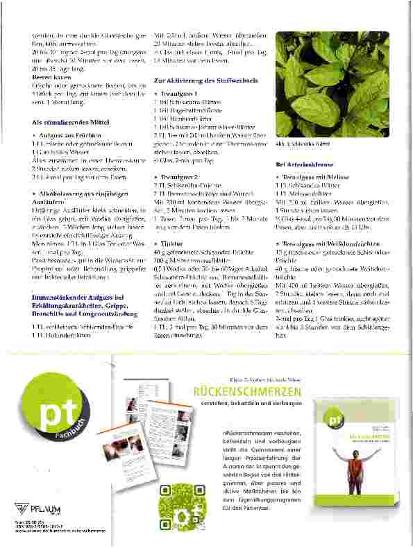 Vorschauseite 2: Adaptogene Pflanzen Schisandra chinensis Teil 2