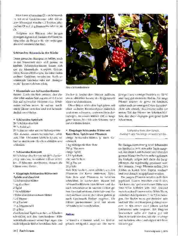 Vorschauseite 4: Adaptogene Pflanzen Schisandra chinensis Teil 2